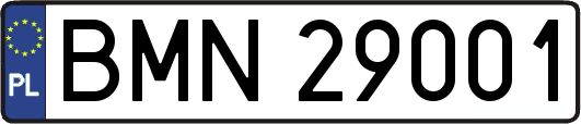 BMN29001