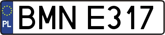 BMNE317