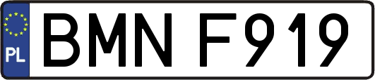 BMNF919