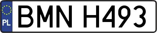 BMNH493