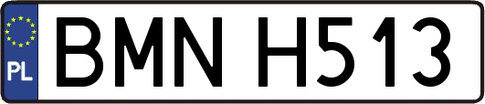 BMNH513