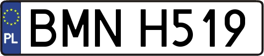 BMNH519