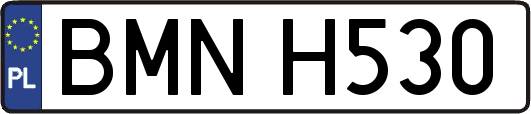 BMNH530