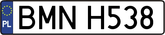BMNH538