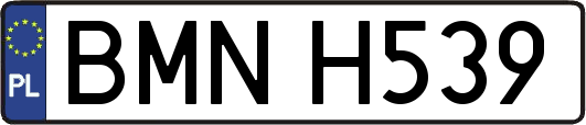 BMNH539