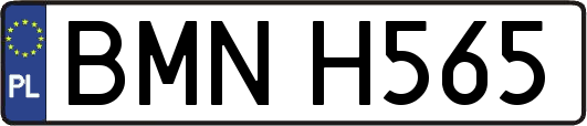 BMNH565