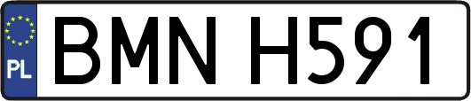 BMNH591