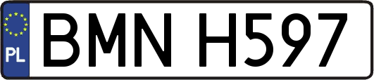 BMNH597