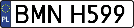 BMNH599