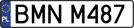 BMNM487