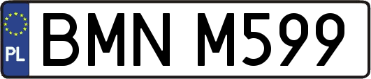 BMNM599