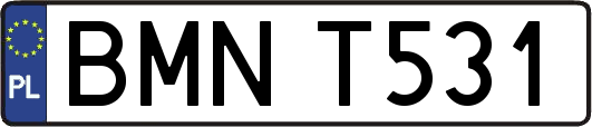 BMNT531