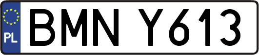 BMNY613