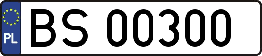 BS00300