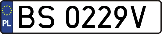BS0229V