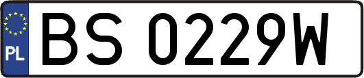 BS0229W