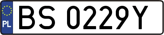 BS0229Y