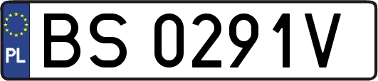 BS0291V