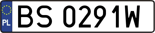 BS0291W