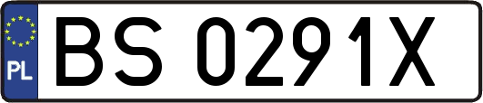 BS0291X