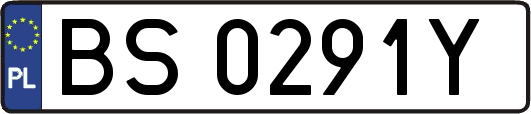 BS0291Y