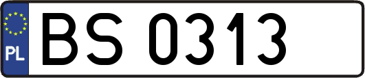 BS0313