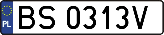 BS0313V