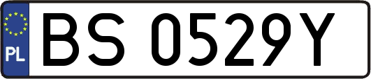 BS0529Y