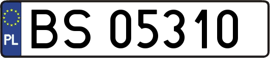 BS05310