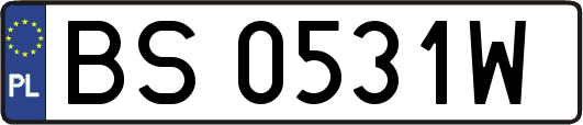 BS0531W