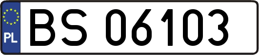 BS06103
