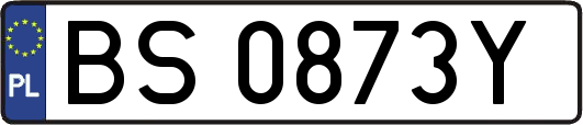 BS0873Y