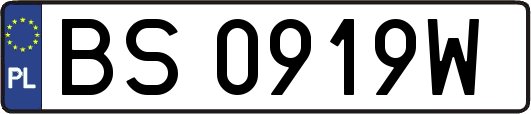 BS0919W