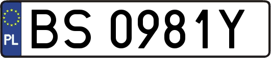 BS0981Y