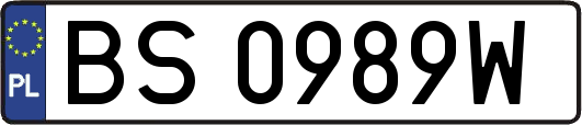 BS0989W