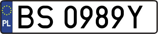 BS0989Y