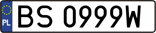 BS0999W
