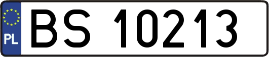BS10213