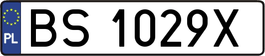 BS1029X