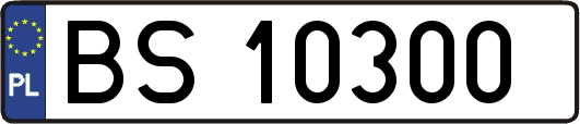 BS10300