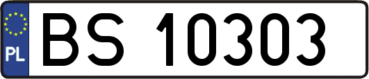 BS10303