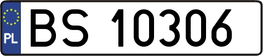 BS10306