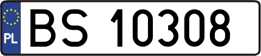 BS10308