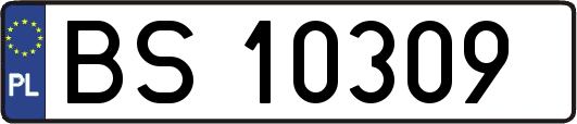 BS10309