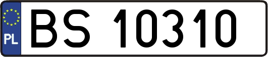 BS10310
