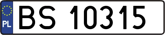 BS10315