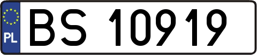 BS10919