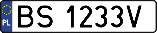 BS1233V