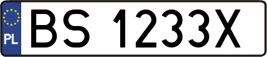 BS1233X