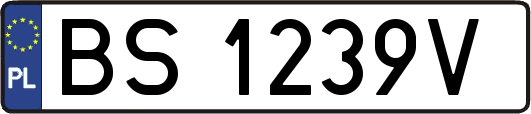 BS1239V